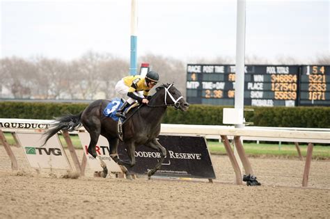 metropolitan handicap betting|The Metropolitan 2024 .